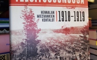 Liukkonen :  Teloitusjonossa 1918-1919
