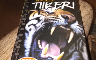 Bengalin tiikeri dvd