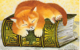 Anna Hollerer: Kissa nukkuu kirjan päällä