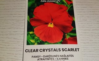 Orvokki "Clear Crystals Scarlet" 50+ siementä