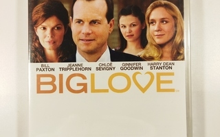 (SL) UUSI! 5 DVD) Big Love : Kausi 1 (2006)