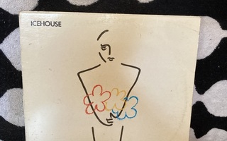 Icehouse – Man Of Colours LP