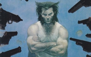 WOLVERINE 182 (1.sarja 1988-)