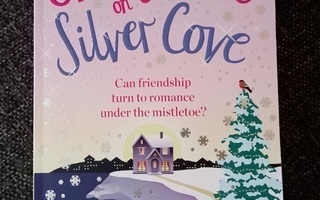 Holly Martin : Snowflakes on Silver Cove / pokkari