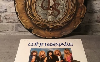 WHITESNAKE: Give Me All Your Love 12” single