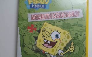 Paavo Pesusieni Mereen Kadonnut DVD