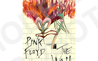 PINK FLOYD THE WALL JULISTE (1979) 70 x 47,50 cm - EI PK