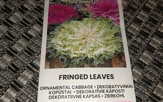 Koristekaali "Fringed Leaves" 20+ siementä