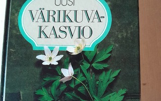 uusi värikuvakasvio