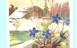 U.Maasio: Pääsiäinen, sinivuokot, linnut, -47