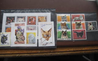 kissa aiheisia postimerkkejä: 5 blokkia + irtomerkkejä