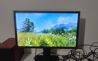 Asus MG24UQ (4K / UHD)