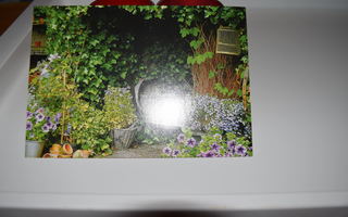 postikortti (A) kukkia kasveja