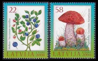 Latvia 739-40 ** Metsän kasvustoa (2008)