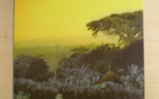 V.S. Naipaul: Elämän kuva
