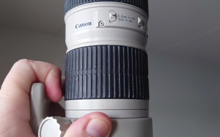 Canon 70-200mm F4 L usm