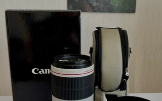 Canon 100-400mm f/4.5-5.6L IS II USM