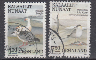 GRÖNLANTI linnut 1990
