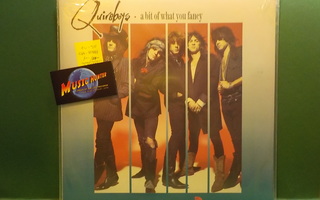 THE QUIREBOYS - A BIT OF WHAT YOU FANCY M-/EX- EU -90 LP