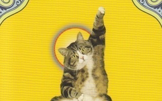 Kissa joogaa Vakrasana (postikortti)