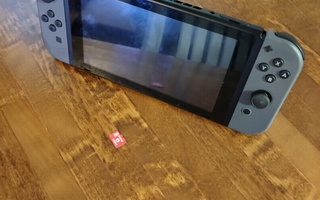 Nintendo Switch (harmaa)