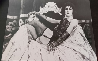 VALOKUVA - TIM CURRY - THE ROCKY HORROR PICTURE SHOW