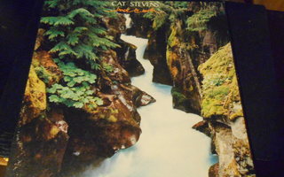 CAT   STEVENS  :  BACK TO EARTH  -78  LP Katso UUSI  TARJOUS