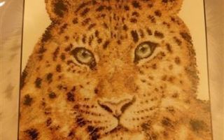Ristipistopakkaus Upea leopardi DMC
