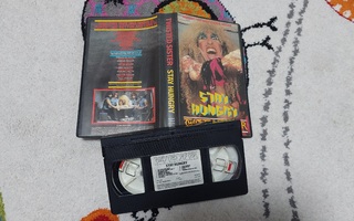 Twisted Sister Stay Hungry VHS