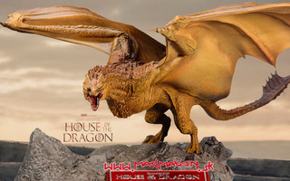 House of the Dragon PVC Statue Syrax 17 - HEAD HUNTER STORE.