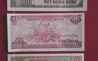 Vietnam setelit