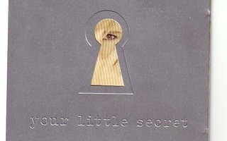 cd, Melissa Etheridge: Your Little Secret [rock, folk rock]