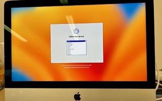 iMac 21.5” 4K (2019) näyttö, pikkuvika