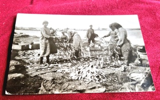 Seiskari vintage kalastusaiheinen postikortti .