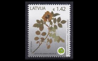 Latvia 1009 ** Luonnonhistoriallinen museo kukka (2017)