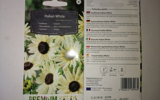 Auringonkukka "Italian White" - siemenet