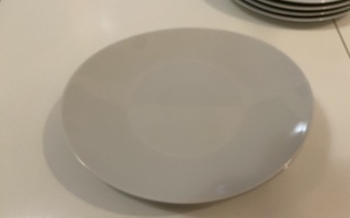 Valkoinen lautanen 46 kpl