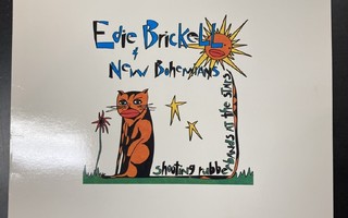 Edie Brickell & New Bohemians - Shooting Rubberbands LP