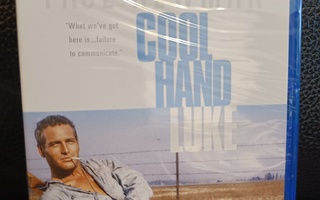 Lannistumaton Luke - Cool Hand Luke (1967) Blu-ray