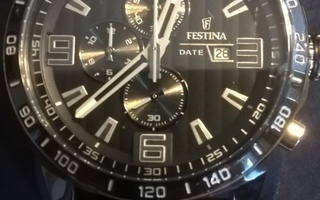 Festina Date