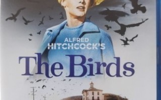 (Blu-ray) Linnut- The Birds (1963) Alfred Hitchcock