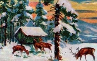 BAMBI / Kauriit lumisella metsäaukiolla. 1920-l.