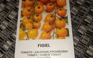 Tomaatti "Figiel" 10+ siementä