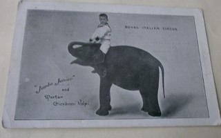 Jumbo Junior & pieni ohjaaja, sirkuskortti, p. 1907