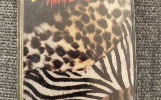 Kiss: Animalize