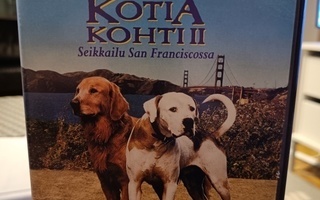 Kotia kohti II - seikkailu San Franciscossa  DVD