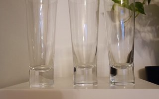 Iittala Aarne pilsnerilasit