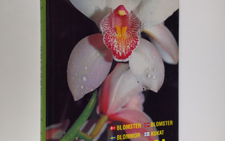 Antonio da Costa : Madeira : planter og blomster = växter...