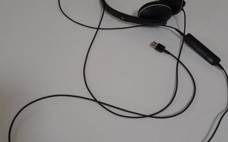 Kuulokkeet puhelimeen ja tietokoneeseen Epos Sennheiser USB