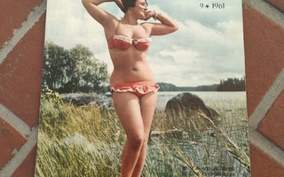 Jallu 1961